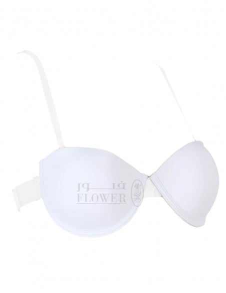 BRAS  (CC-722-B)